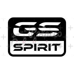 Spirit of GS 1