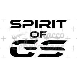 Spirit of GS 2